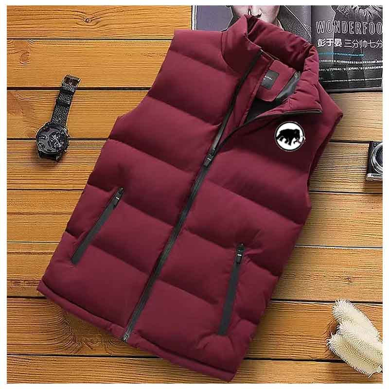 Мужская жилетка, теплая куртка без рукавов, зимняя водонепроницаемая куртка на молнии, осенний повседневный жилет с воротником-стойкой, хлопковая куртка