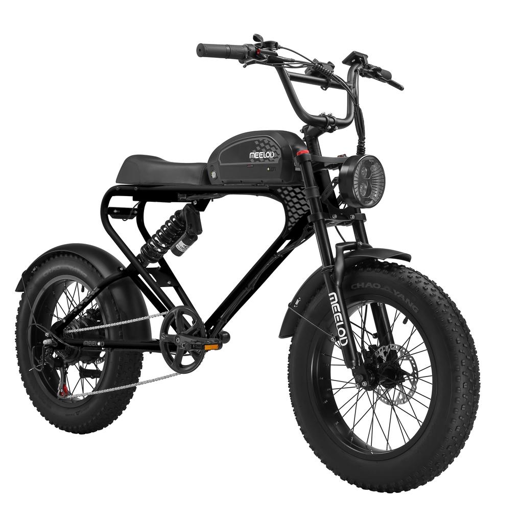 MEELOD DK300PLUS Adult Electric Bicycle 750W Motor 48V20Ah Battery Electrical Road Bike 20" Fat Tire Retro Urban Commuting Mountain E-Bike