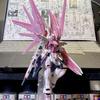 Розовый Сакура Модель Гандама HG Strike Freedom 2.0 - Фигурка 1/144 с Водными Декалями