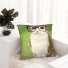 Декоративная наволочка Мяу Кошка Сова Мем Аксессуары Кровать Наволочка Чехол На молнии Разных размеров