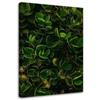 Canvas Print, Exotic Green Leaves