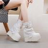 Women's 14cm Platform Martin Boots 2025: Trendy Mid-Calf Buckle Boots for Autumn/Winter