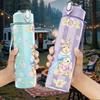 1PC Princess Girl Pastel Fantasy Art 750ml Color Plastic Sports Water Bottle Leakproof Flip Straw Lid Suitable for Sports Office Home Use