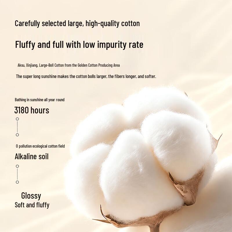 Nanjiren Grade A Xinjiang Cotton 2-in-1 Zipper Quilt