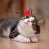 Hanging Door Cat Toy Interactive Door Elastic Cord Toy Kitten Bouncing Plush Spider Toy Indoor Pet Supplies