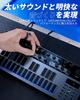 Donner Synthesizer Essential B1 Analog Bass Sequencer 128 Patterns LED Screen with MIDI Terminal Backlight USB Type Music Production Japanese