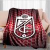 Global Unity And Strength Blanket Suitable for Sofas, Beds, Offices, And Camping - Perfect Gift for Halloween Christmas