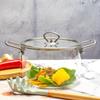 Electric Stove-Compatible Large Glass Soup Pot with Stainless Steel Handles – Seal Lid for Hearty Stews & More
