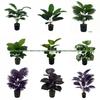Realistic Areca Palm & Traveler's Palm with Turtle Shell Violet Indoor/Outdoor Plants - 12 Heads Landscaping Decoration.