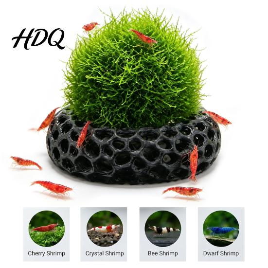Freshwater Shrimp House 2Pcs Caves for Plants Aquarium Round Hideouts Cherry & Dwarf Habitat Hides Moss Ferns And Anubias Tank Decoration