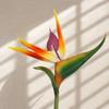 2 Pcs Red False Paradise Flower Plant PU Decorative Paradise Bird Plant  Wedding Party Decor
