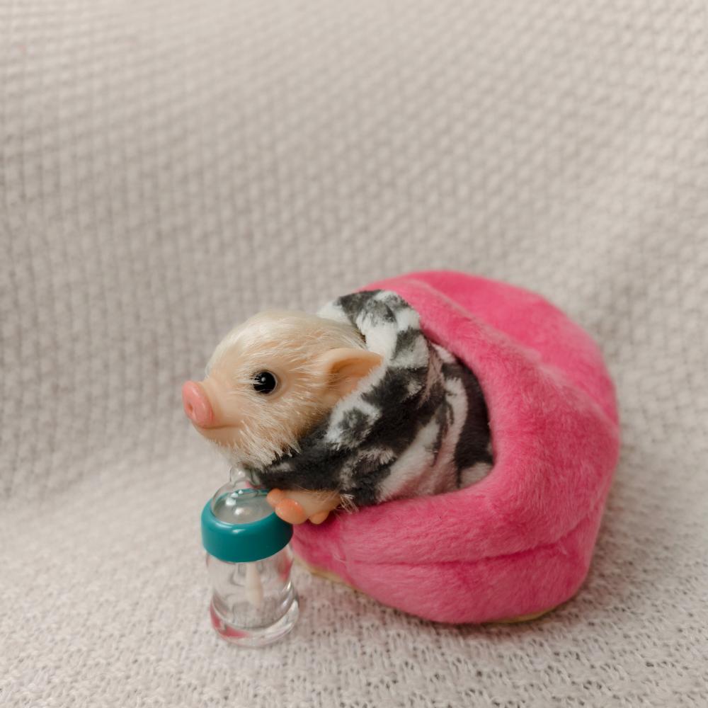 5/6 Inch Silicone Pig Doll Toy Mini Soft Lifelike Silicone Pig Doll Miniature Reborn Silicone Pig With Accessories For Kids Gift