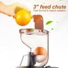 Slow Masticating Juicer,Apples Orange Juicer Machine With Wide Chute Quiet Motor For Juicer Machines Vegetable And Fruit Masticating Juicer