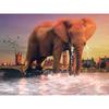 DIY Diamond Painting Animal Elephant Rhinestone Cross Stitch Embroidery Animal Picture Home Decor