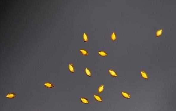 Aplikacja Dżet - Złota Łezka, 6 Mm, 50 Szt.