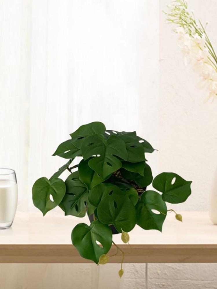 2 шт. искусственные растения лоза черепаха задний лист бегония настенный цветок ротанг зеленая трава в горшке домашний балкон садовый декор