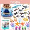 Дельфины Акулы Пингвины Дети Фигурки Морских Животных Набор Модель Игрушки Декор