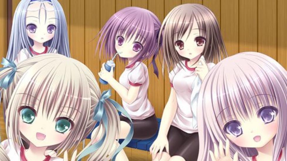 Секретная Фотовозможность Ограниченное Издание PS Vita Ro-Kyu-Bu! -