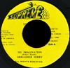 7inch Record BRIGADIER JERRY - My Imagination NONE Supreme 1988 Jamaica Reggae, Ska & Dub Used
