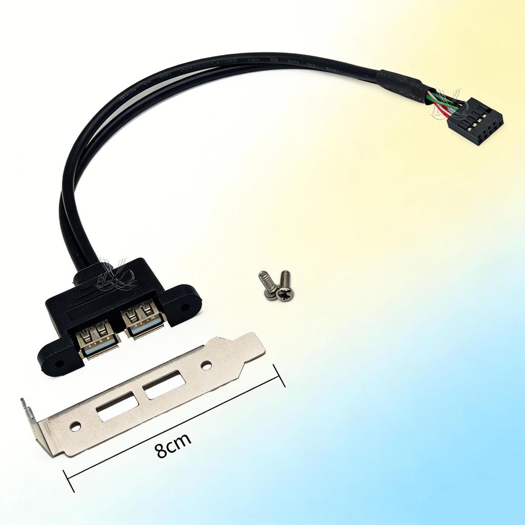 USB 9-Pin to Dual USB 2.0 Female Port Expansion Cable