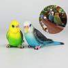 Bird Decor Artificial Simulation Parrot Miniature Landscape Ornament Parakeet Model Lawn Bird Home Decorative Figures