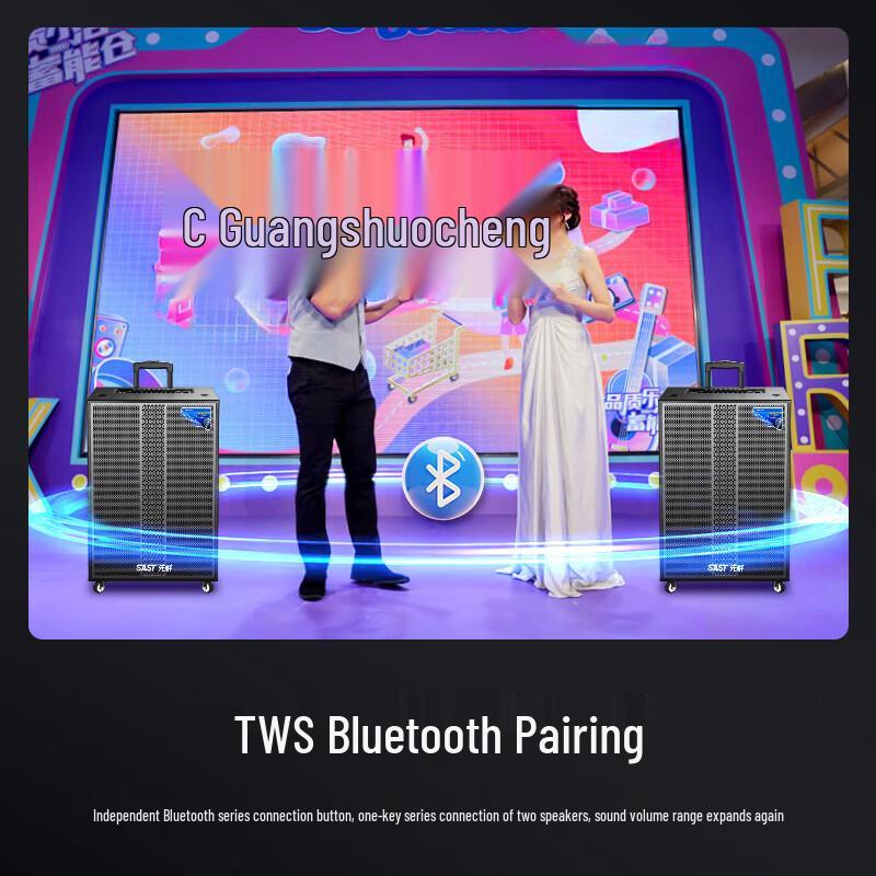 SAST 18-дюймовая портативная Bluetooth-колонка на колесиках, штекер CN (адаптер в комплекте) (Китайская версия)