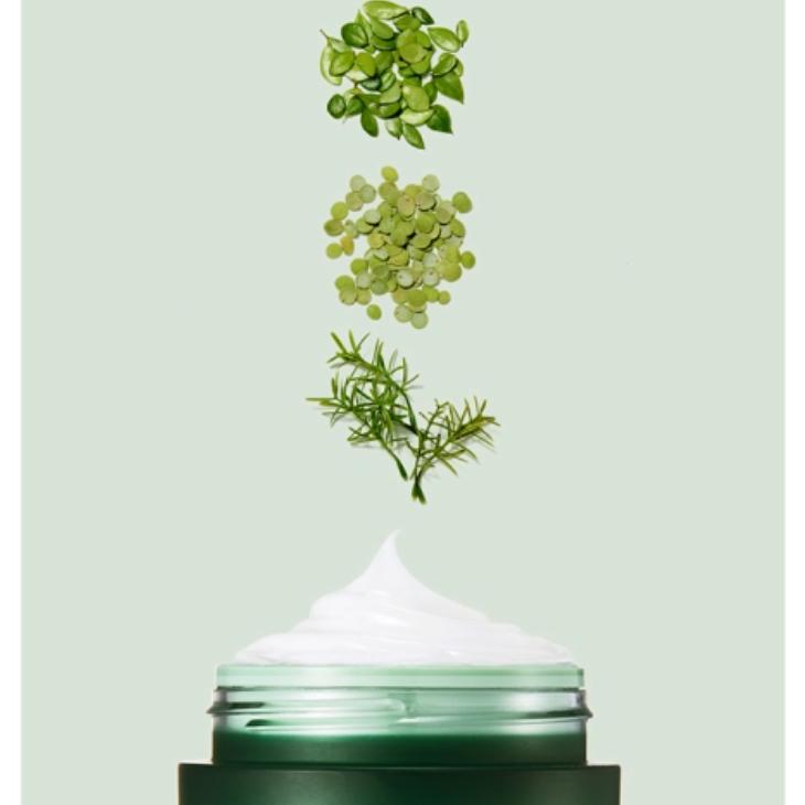 LANEIGE Ночная маска Cica 60 мл