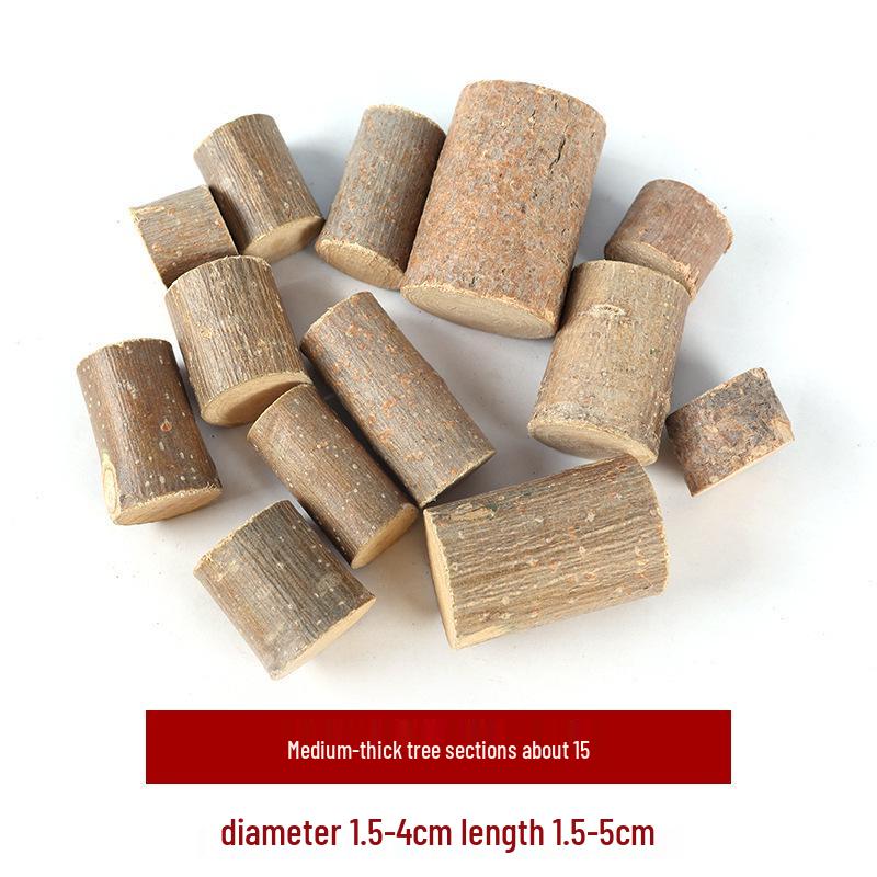 Wood Chips & Tree Slices Activity Kit for Kindergarten