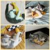 Интерактивные игрушки для кошек Hoopet