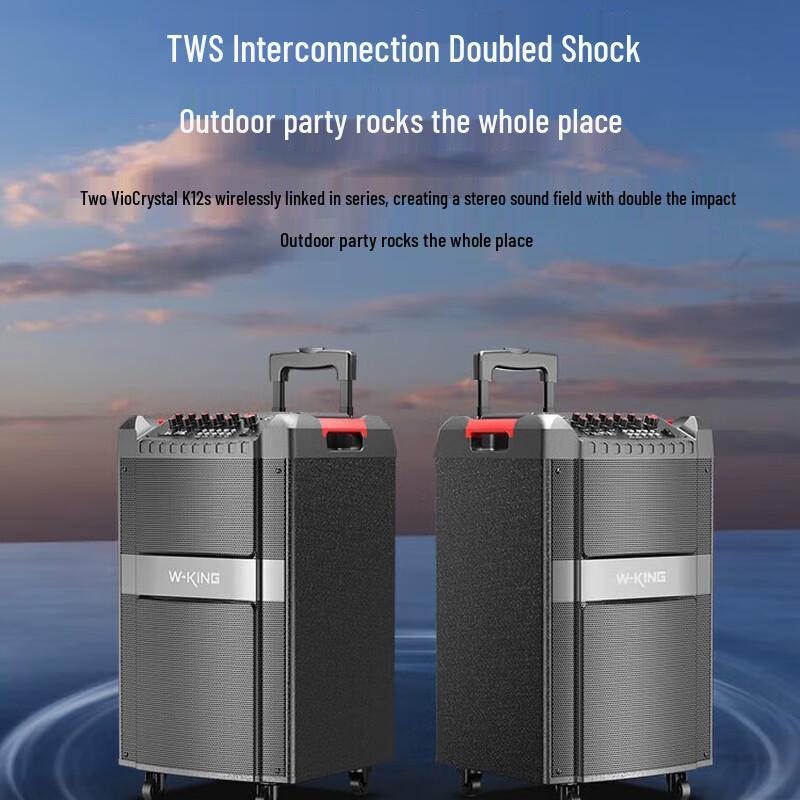 W-King K12 Portable Trolley Bluetooth Karaoke Speaker