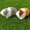 Chubby Hamster Plush Toy PP Cotton Animal Stuffed Plushie Doll Plush Guinea Pig Doll  Home Decor