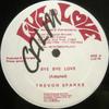 12-дюймовая пластинка TREVOR SPARKS Bye Bye Love LLD75 Live And Love 1988 США Регги Ска Даб Б/у