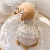 Lace Camisole Pet Spring Summer Jumpsuit Soft Pet Four Legged Coat Pet Supplies Dog Pajamas Autumn