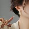 Zircon Wheat Ear Earrings Silver Needle High-End Design Earrings French Fashion Elegant Temperament Earrings Women