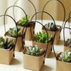 10Pcs Foldable Succulent Plant Boxes Waterproof Mini Flower Pots  Gift Packaging