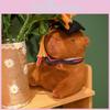 Student Doctor Capybara Plush Toy Stuffed Doll Graduation Gift Decoration 23cm