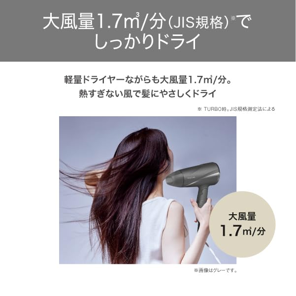 TESCOM Protect Ion Hair High Cold and Warm Dryer, Foldable, Airflow, Lightweight, Air, White, TD360A-W
