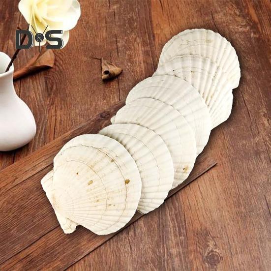 10Pcs Natural Scallop Shells DIY Crafts Theme Party Decor Bright White Seashells Jewelry Christmas Decoration