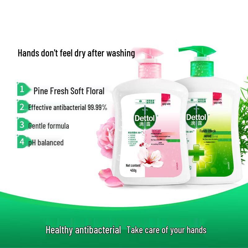 Dettol Moisturizing & Pine Antibacterial Hand Wash Combo Pack
