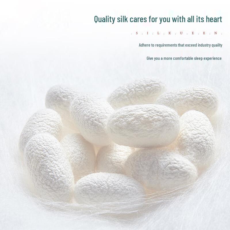 SILKUEEN 100% Mulberry Silk Thin Quilt