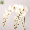 Simulation Phalaenopsis, retro high-grade silicone cotton cherry blossoms, wedding decoration lip Phalaenopsis simulation flower