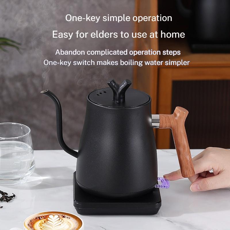 1000W Fast Electric Kettle, 1L Capacity, 304 Stainless Steel, One-Touch Boil & Dry Burn Protection