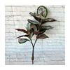 Ochrosia Maculata Jacq Tree Synthetic Greenery For Indoor Home Office Decoration And Photography
