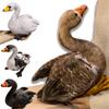 Lifelike Swan Plush Swan Toys Doll Pillow Kawaii Soft Simulation Swan Duck Swan Cute Goose Stuffed Animal Kids Gift Home Decor