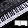 For 88/61/54/49/37Key Keyboard Sticker Keyboard Stickers Note Piano