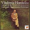 CD HOROWITZ (VLADIMIR); BEETHOVEN - Beethoven: Piano Sonatas "Moonlight SICC376 Japan Classical Used