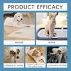 Pet Positioning Defecation Inducer Spray 50ml, Dog Potty Training Auxiliary Spray