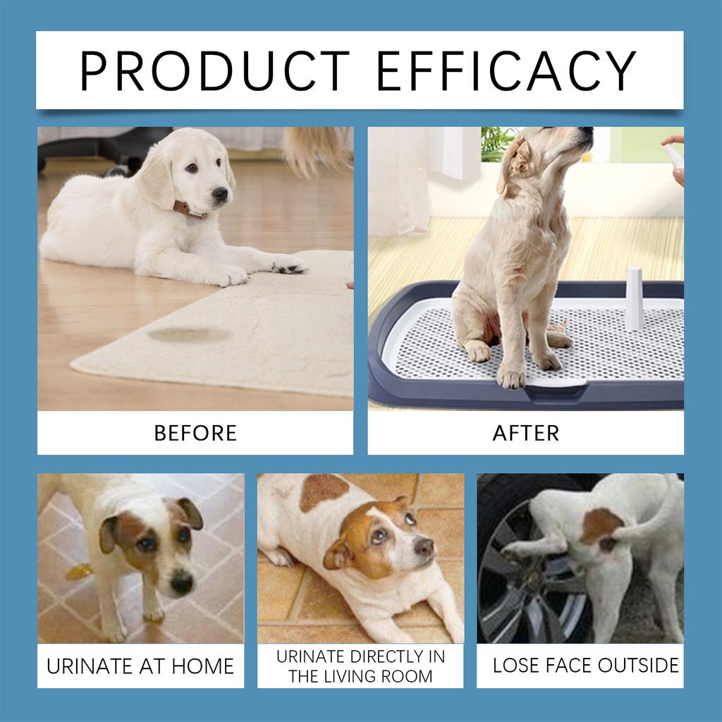 Pet Positioning Defecation Inducer Spray 50ml, Dog Potty Training Auxiliary Spray