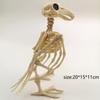 New Halloween Prop Plastic Animal Skeleton Bones Skeleton Raven Halloween Decoration Crow Skeleton