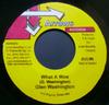7inch Record GLEN WASHINGTON - What A Woe NONE Arrows Records 2002 Jamaica Reggae, Ska & Dub Used